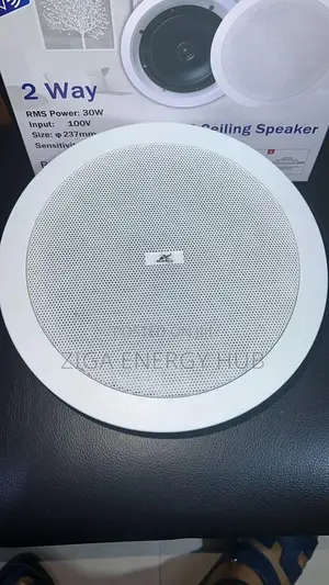 Bluetooth Celling Speaker