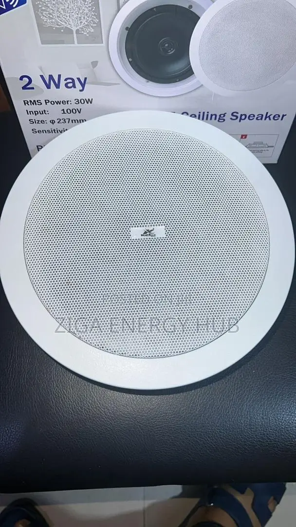 Bluetooth Celling Speaker