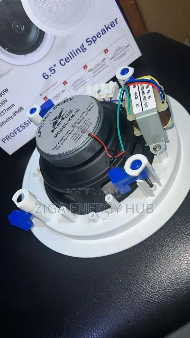 Bluetooth Celling Speaker