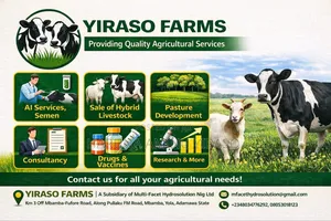 Agribusiness Consultancy Service
