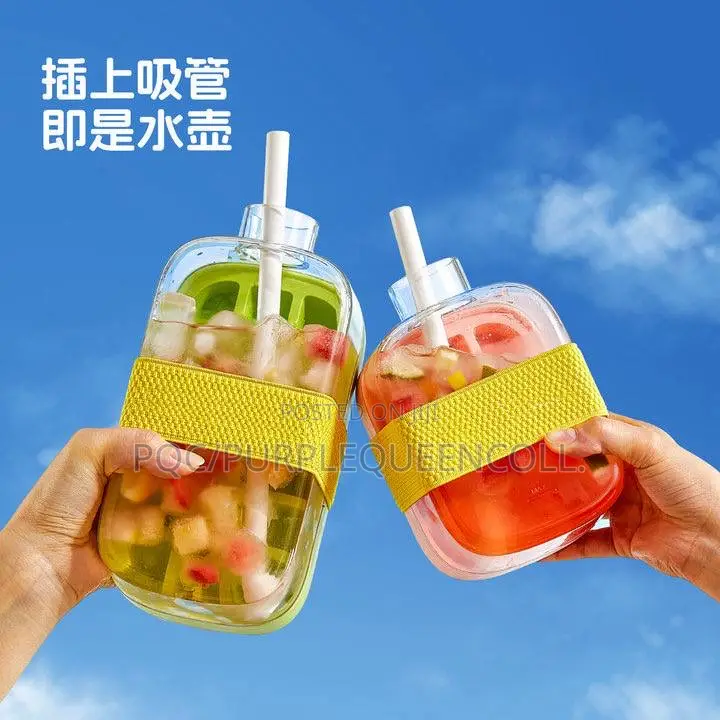Ice Cube Water Bottle