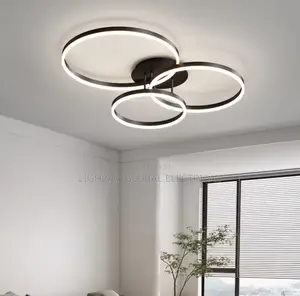 Modern Minimalism Round Ring Led Ceiling Lamp