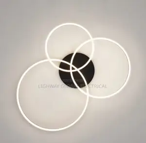 Modern Minimalism Round Ring Led Ceiling Lamp