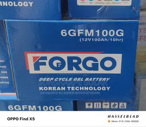 100a Forgo Deep Cell Battery