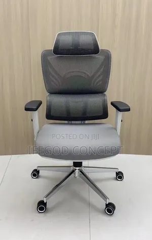 Ergonomic Office Chair