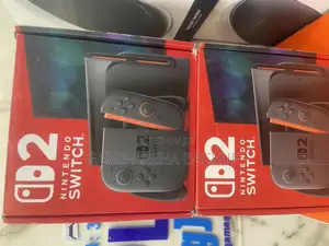 Nintendo Switch 2 Hybrid Video Gaming