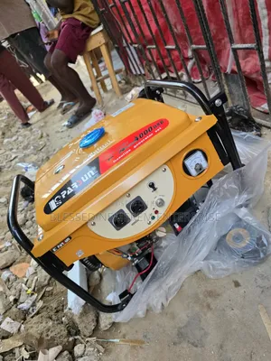 High Quality Parsun Petrol Generator 100%Copper Coil