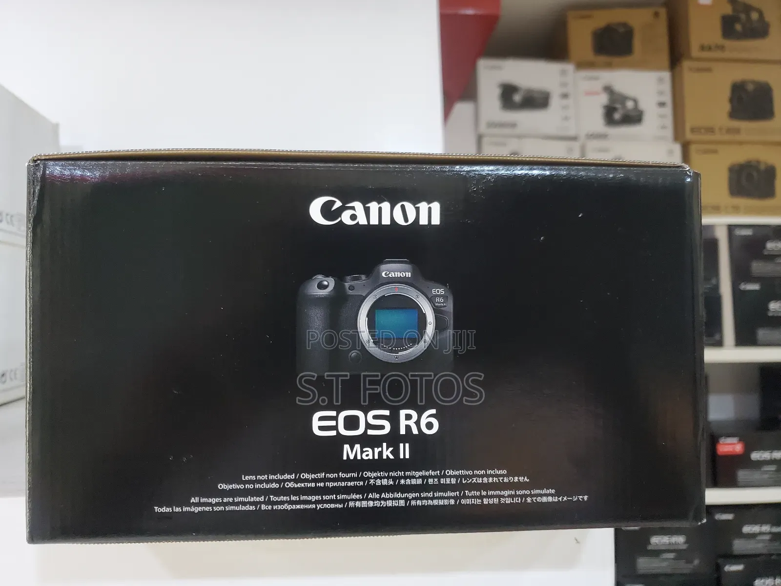 Canon Eos R6 Mark Ii