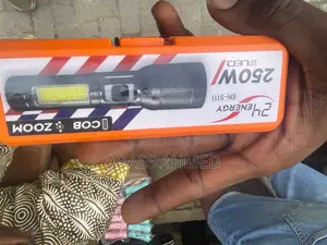 Security Torch Light