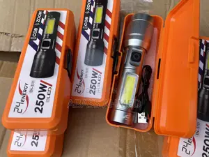 Security Torch Light