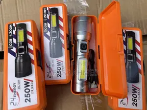 Security Torch Light