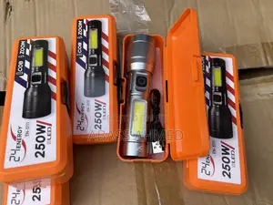 Security Torch Light