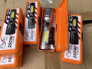 Security Torch Light