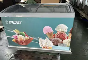 Ice Cream Display Freezer