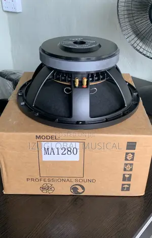Mackkie Ma1280 12”Inches Naked Speaker Big Magnet 1000watts