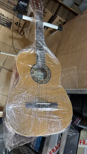 Very Neat Classical Acoustic Guitar