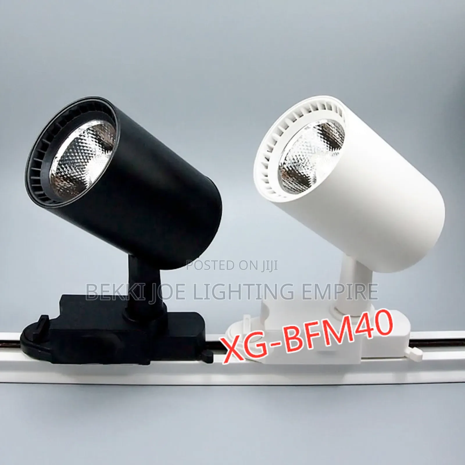 Track Light Complete With Rail