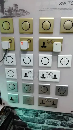 Switch and Socket