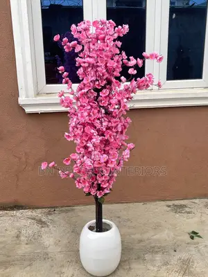 Plant Decor