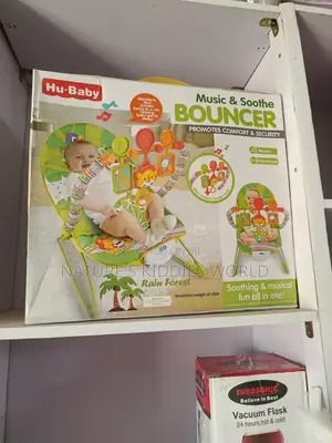 Baby Bouncers