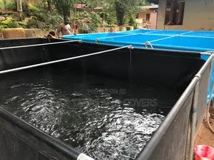 Tarpaulin Pond