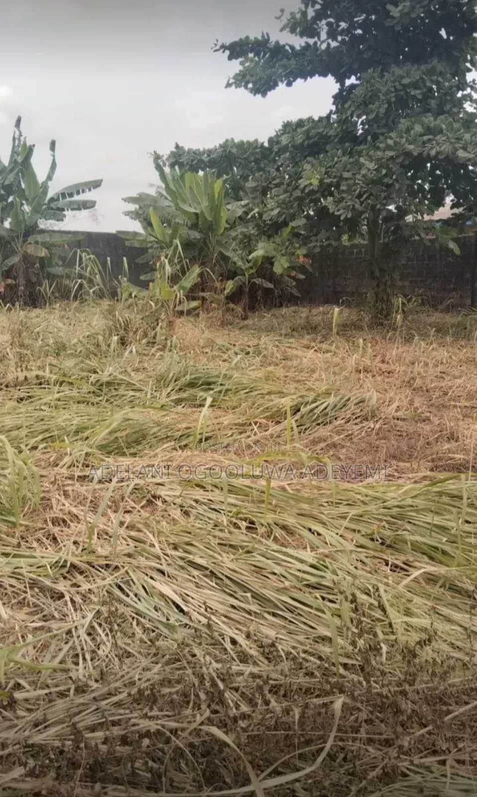 2plot of Land
