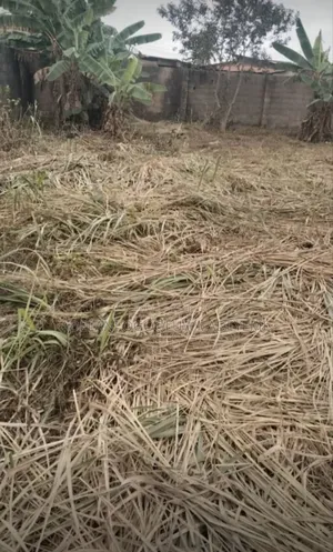 2plot of Land