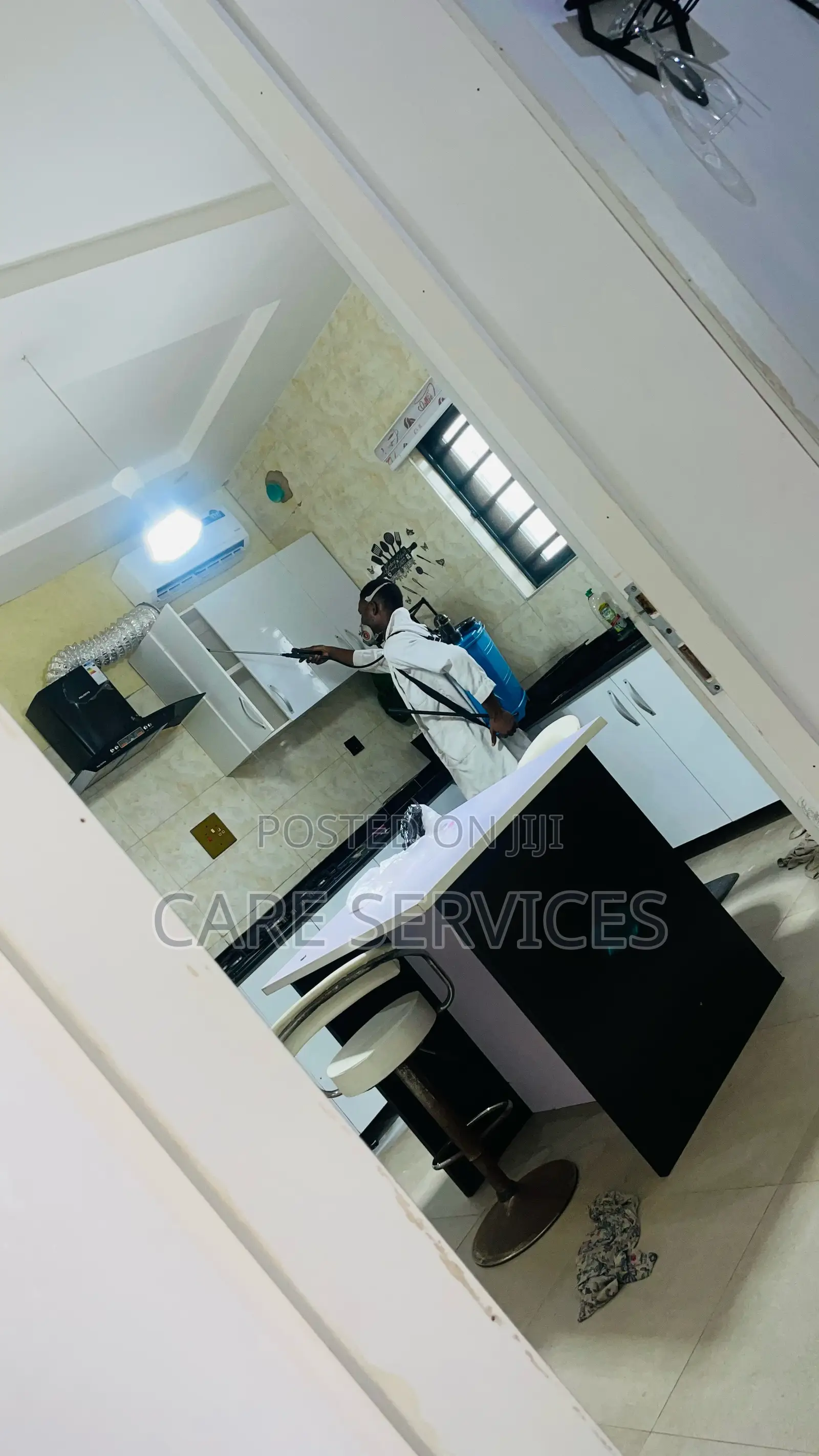 Cockroaches Fumigation Service