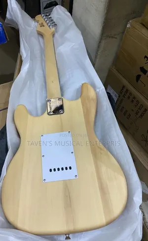 Alvarez Electric Guitar
