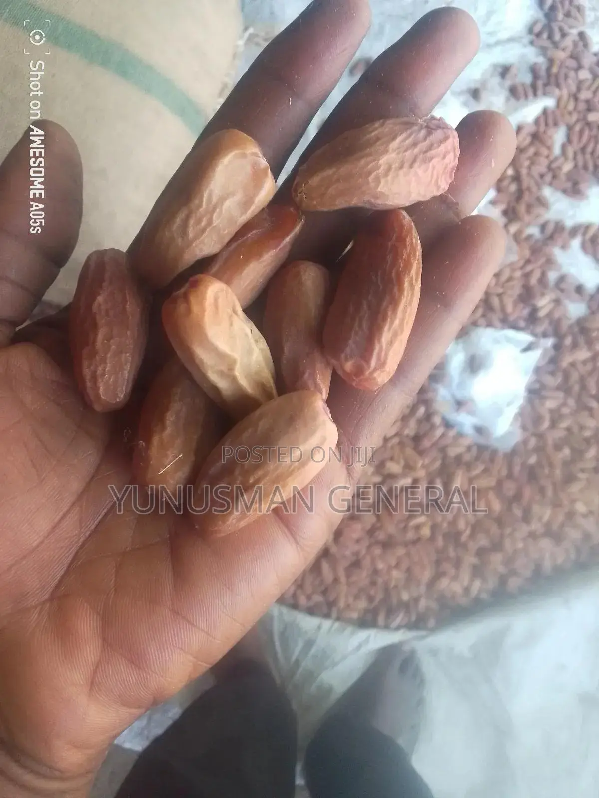 Date(Dabino)