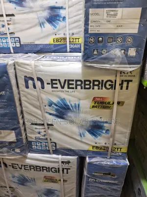 M-Everbright Tubular Batteries