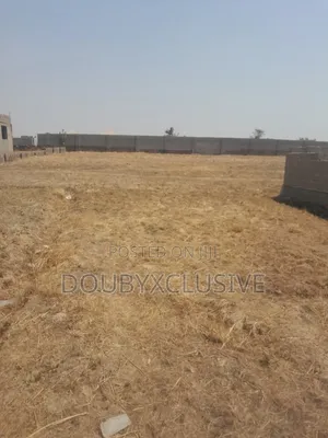 Empty Land