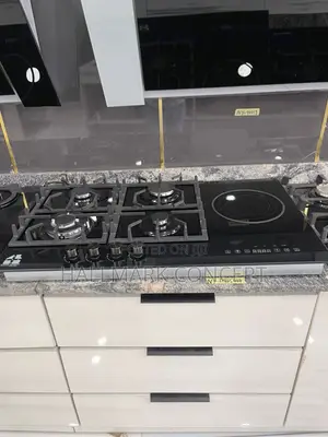 Electric and Gas Oven Inbuilt
