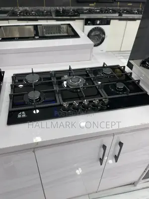 Electric and Gas Oven Inbuilt