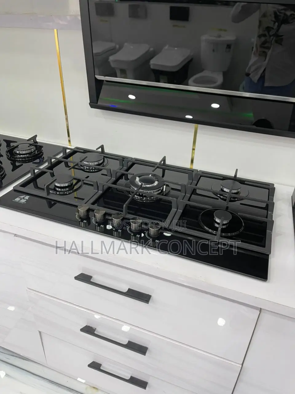 Electric and Gas Oven Inbuilt