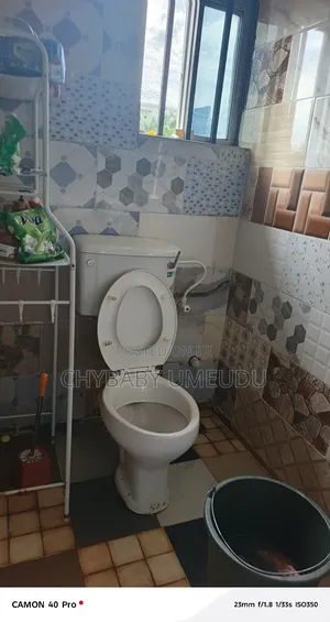 1bdrm Block of Flats in Muniru Estate Ogombo, Sangotedo for rent