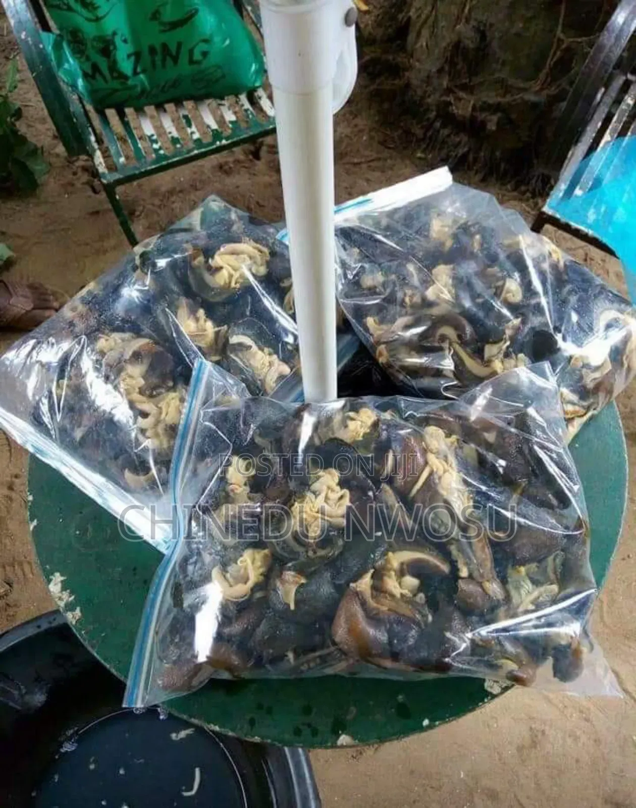 Deshelled and Cleaned Giant Snail Meat