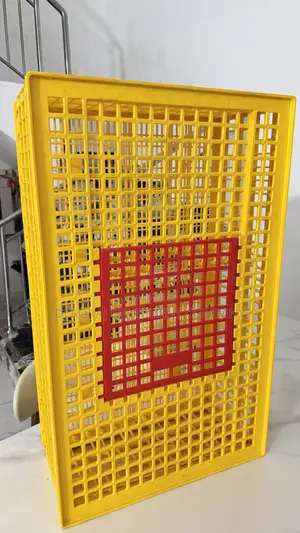 Big Indian Type Chicken Transport Crate,Jumbo Feeder,Breeder Feeder