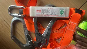 Full Body Harness