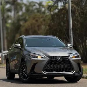 Lexus NX 350 AWD 2024 Gray