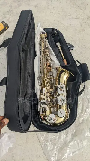 Yamaha Custom Z Gold and Silver Alto Saxophone