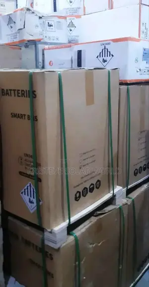 12.5kwh Blue Carbon Lithium Battery – Power Without Limits!