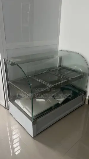 Foreign 3 Plate Food Warmer