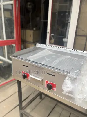 Gas Grill And Griddle