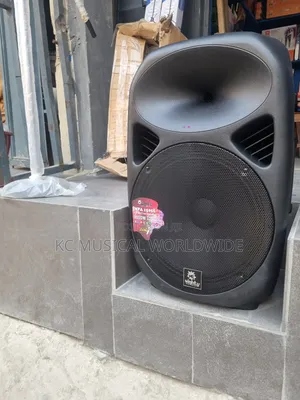 Mighty Public Address System 15-Inch
