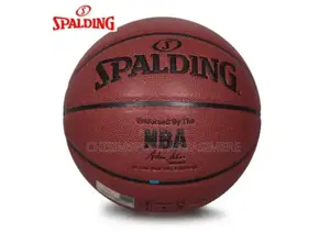 Professional Basketball