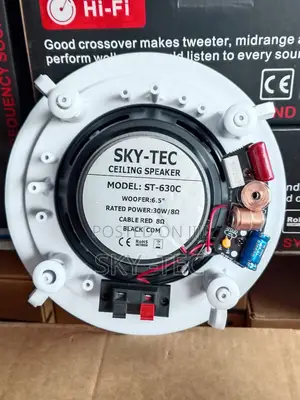 Original Sky-Tec 30watts Big Magnet Ceiling Speaker Very Nice Sound