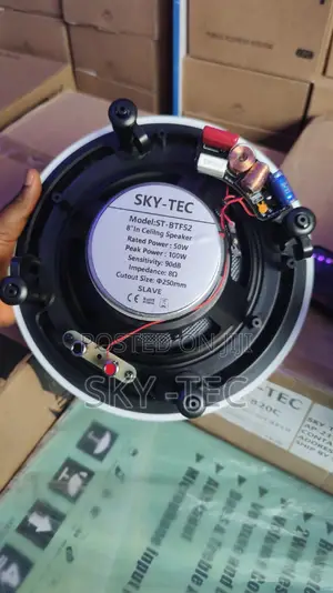 Sky-Tec 100w Frameless Big Magnet Ceiling Speaker Very Nice Sound