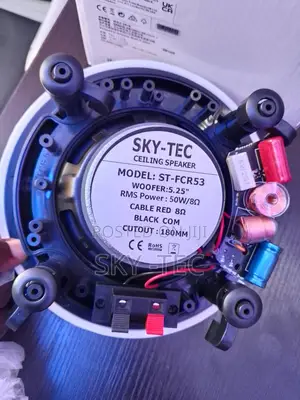 Sky-Tec 50w Big Magnet Flameless Ceiling Speaker Very Good Performance