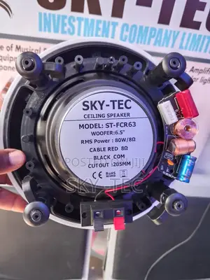 Sky-Tec 80w Big Magnet Flameless Ceiling Speaker Very Nice Performance